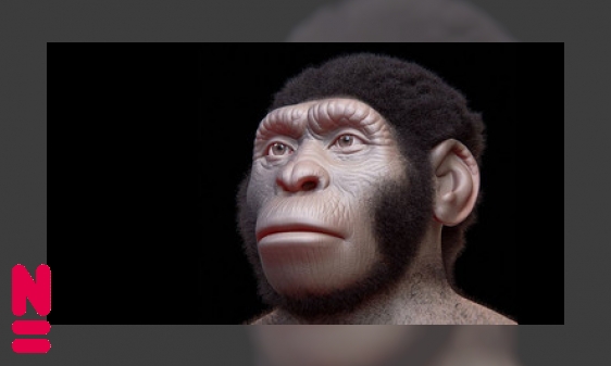 Homo naledi: feit of fantasie?