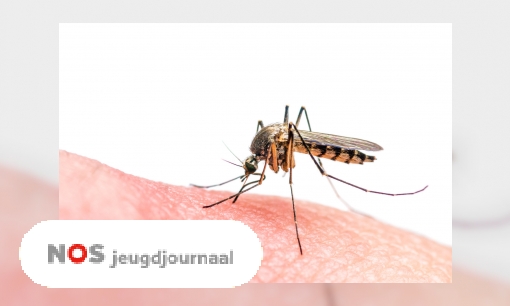 Zorgen om zikavirus