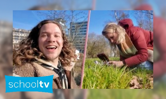Plaatje Klokhuis Soortsafari  - Op zoek naar de hommel