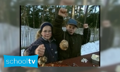 Vogels helpen in de winter