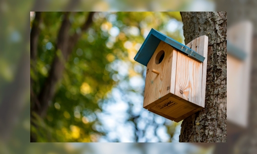 Plaatje Zo maak je een vogelhuisje