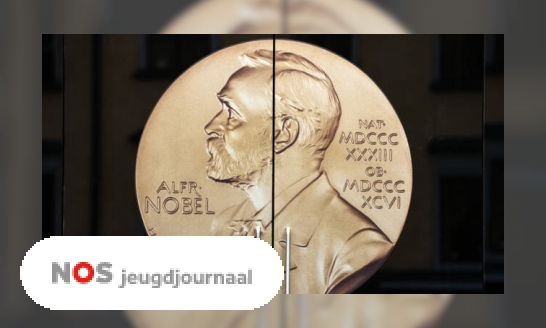 Plaatje Drie vragen over de Nobelprijs 2019