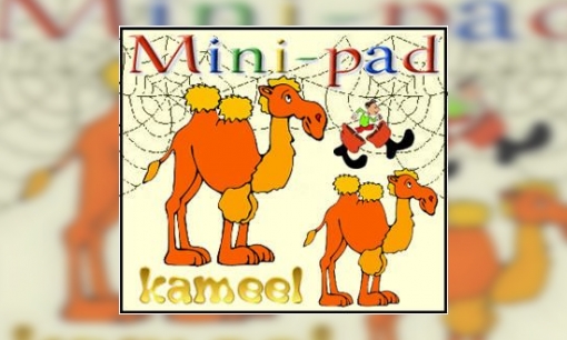 Plaatje Mini-pad kameel