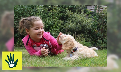 Plaatje Spreekbeurt over dierendag