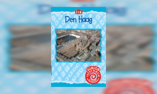 Plaatje Den Haag