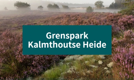 Plaatje Grenspark Kalmthoutse Heide