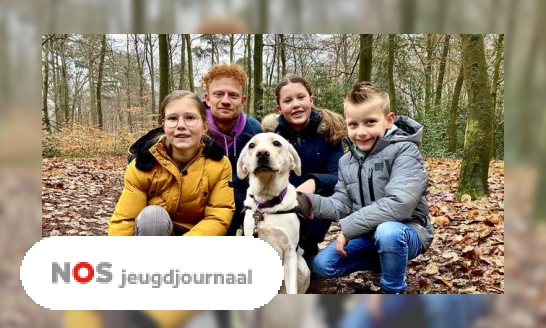 Plaatje Jill, Luna en Kjeld zorgen voor een hulp-puppy