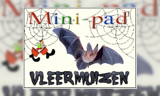 Plaatje Mini-pad vleermuizen