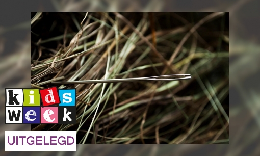 Plaatje Uitdrukking uitgelegd: ‘Een speld in een hooiberg zoeken’