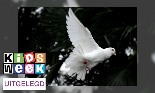 Plaatje Wat vieren we met Pinksteren? Drie vragen en antwoorden over de christelijke feestdag