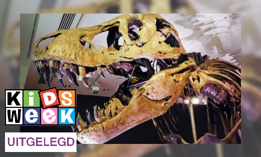 Plaatje Tyrannosaurus rex had lippen (en zo weten we dat)