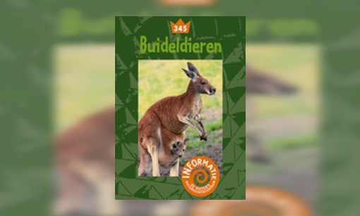 Buideldieren