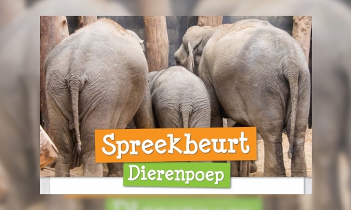 Plaatje Spreekbeurt dierenpoep