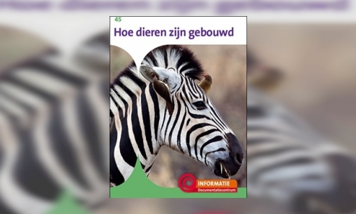 Plaatje Hoe dieren zijn gebouwd