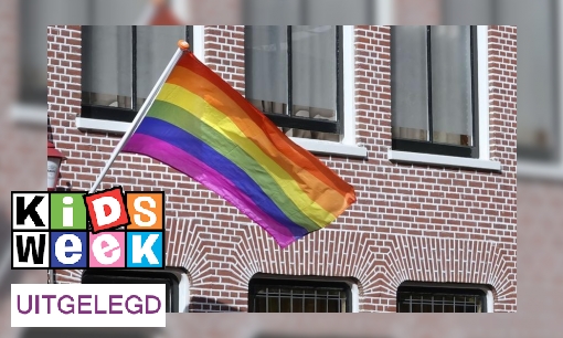 Plaatje Waar staat LHBTIQ+ eigenlijk voor?