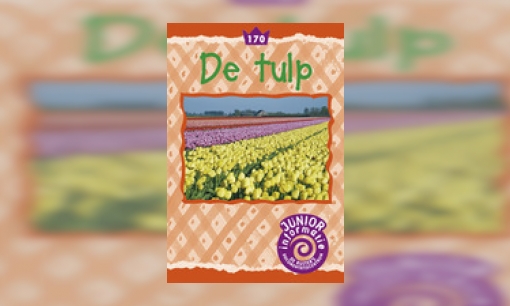 Plaatje De tulp