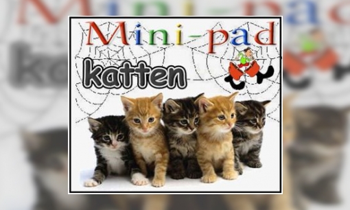 Plaatje Mini-pad katten