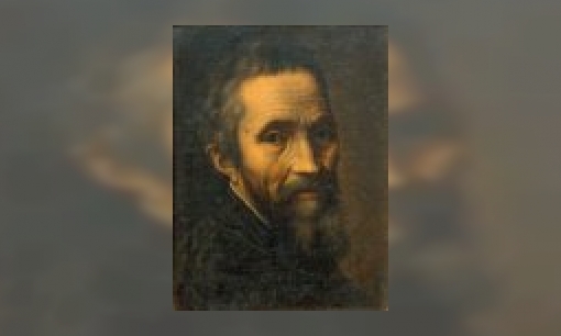 Plaatje Michelangelo