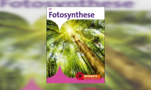 Fotosynthese