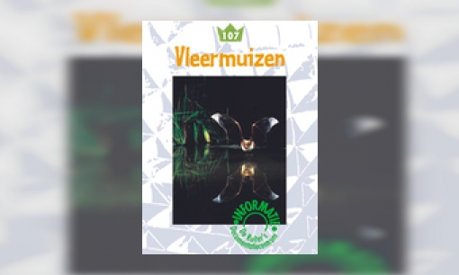 Vleermuizen