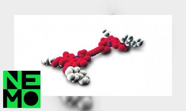 Plaatje Wist je dat er molecuul-autootjes bestaan?