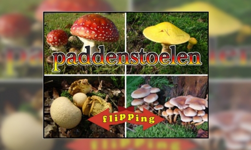Plaatje Flipping - Paddenstoelen