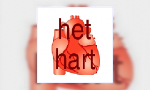 Het hart