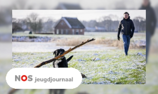 Plaatje Wat is de gevoelstemperatuur?