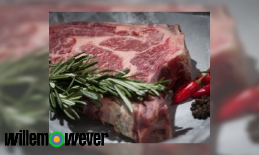 Plaatje Waarom is rauw vlees gevaarlijk?