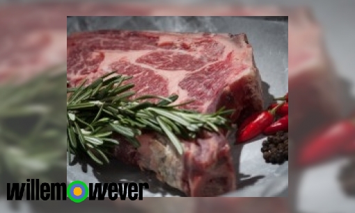 Plaatje Waarom is rauw vlees gevaarlijk?