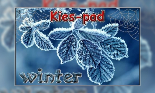 Plaatje Kies-pad Winter