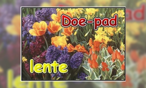 Plaatje Doe-pad lente