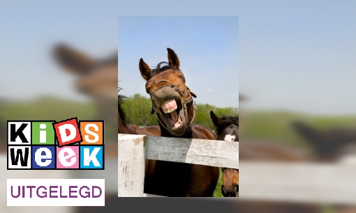Plaatje Uitdrukking uitgelegd: 
