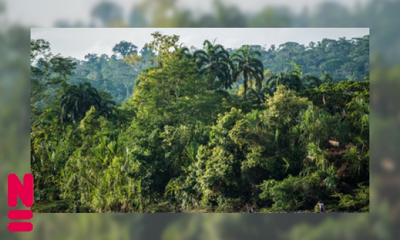 Plaatje De Amazone: een plek waar je blijft ontdekken