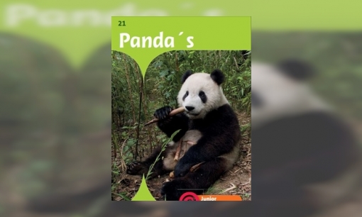 Plaatje Panda