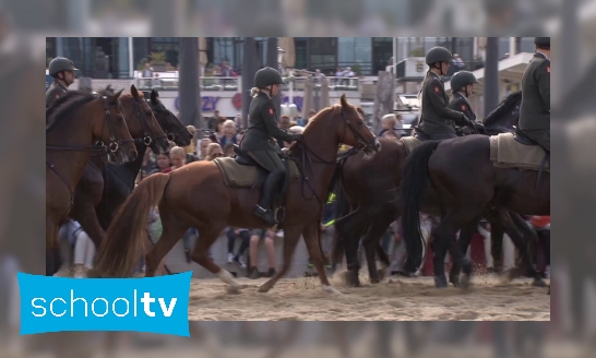 Hoe train je paarden voor Prinsjesdag?