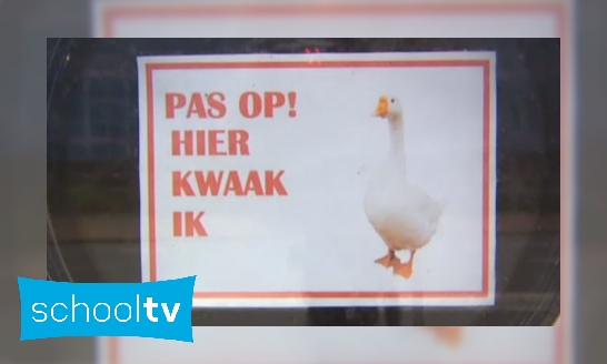 Ganzen zijn goede bewakers - Is het snugger of kletspraat?