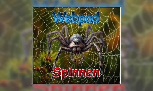 Plaatje Webpad spinnen