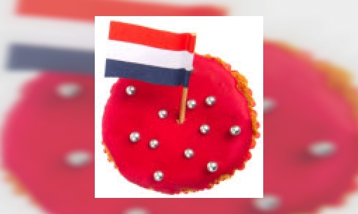 Het Van Dale Oranje boekje