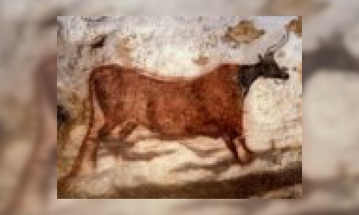 Plaatje De grotten van  Lascaux