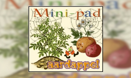 Mini-pad aardappel