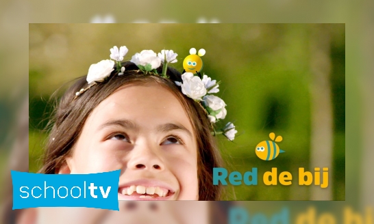 Plaatje Red de bij (Kinderen voor Kinderen)