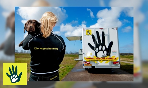 Plaatje Spreekbeurt over dieren in nood