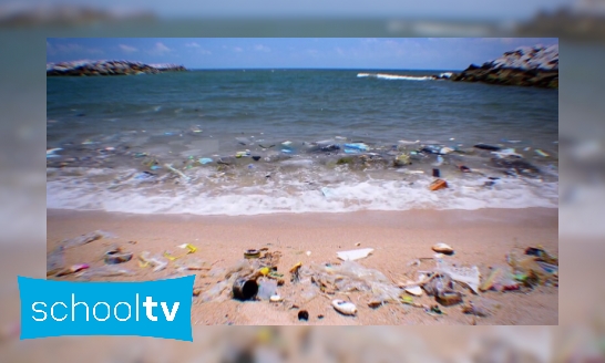 Hoe komen we af van het plastic in de zee?