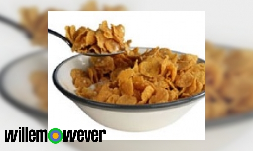 Als er bij de cornflakes ingrediënten ijzer staat is dat dan echt ijzer?