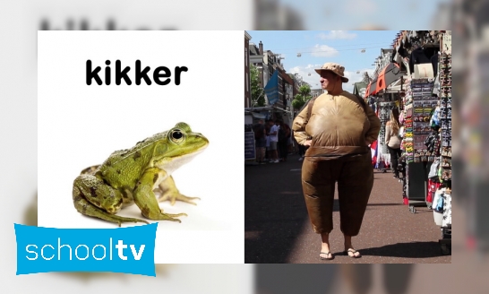 Plaatje Snapje? Kikker en pad