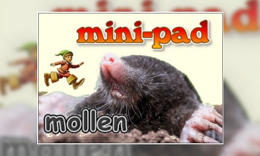 Plaatje Mini-pad mollen