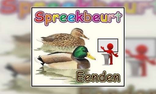 Spreekbeurt Eenden