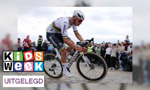 Plaatje Dit is de kracht van wielrenner Mathieu van der Poel