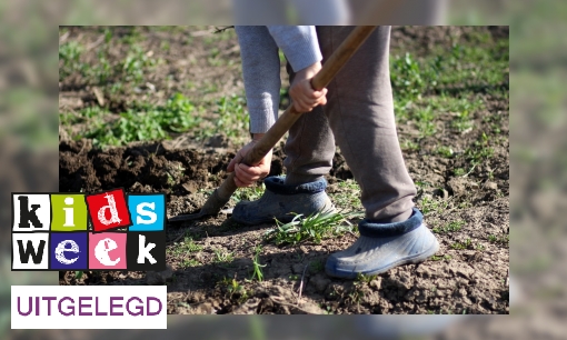 Plaatje Uitdrukking uitgelegd: ‘Wie een gat graaft voor een ander valt er zelf in’